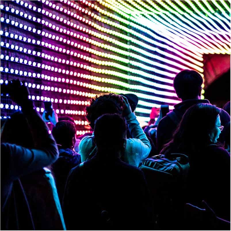 gravid fotografering udendørs Vejle