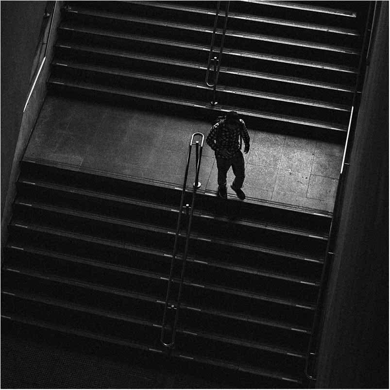 gravid fotografering Vejle