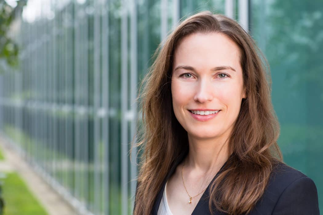 forretnings portræt Fredericia