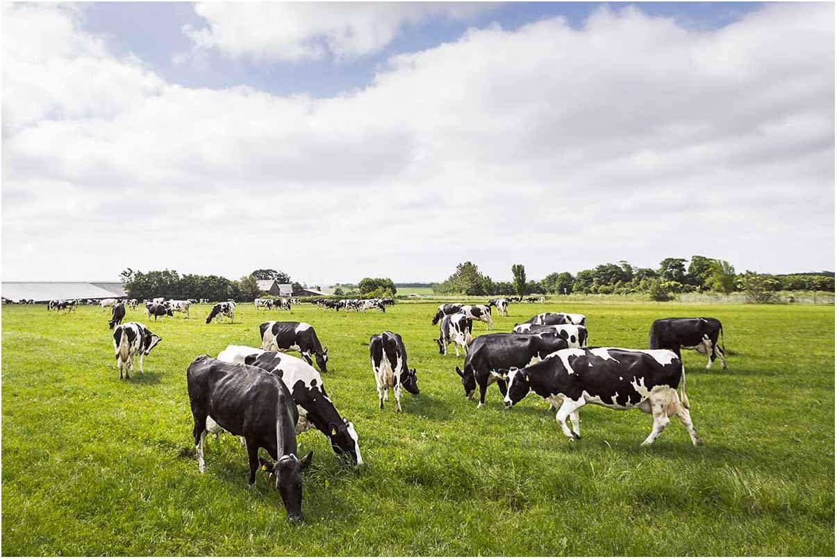 reklame foto Fredericia