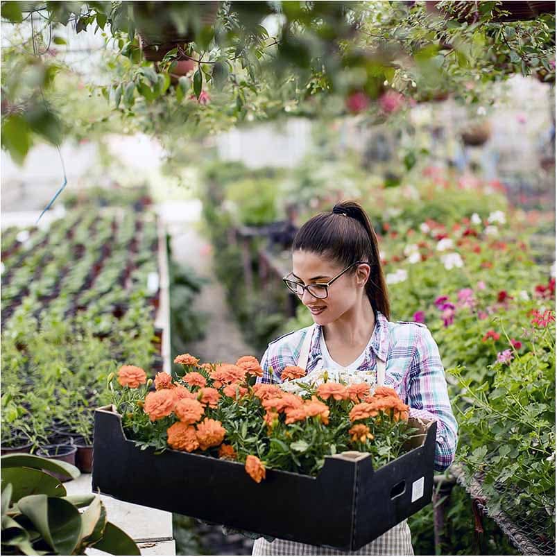 billeder til online markedsføring billeder til online markedsføring