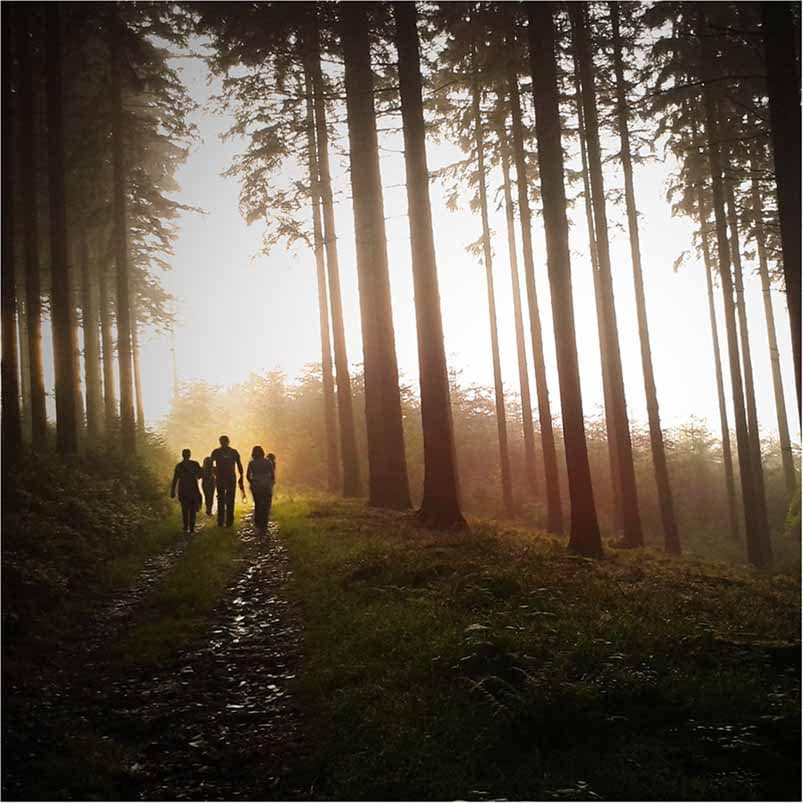 teambuilding i skov teambuilding i skov